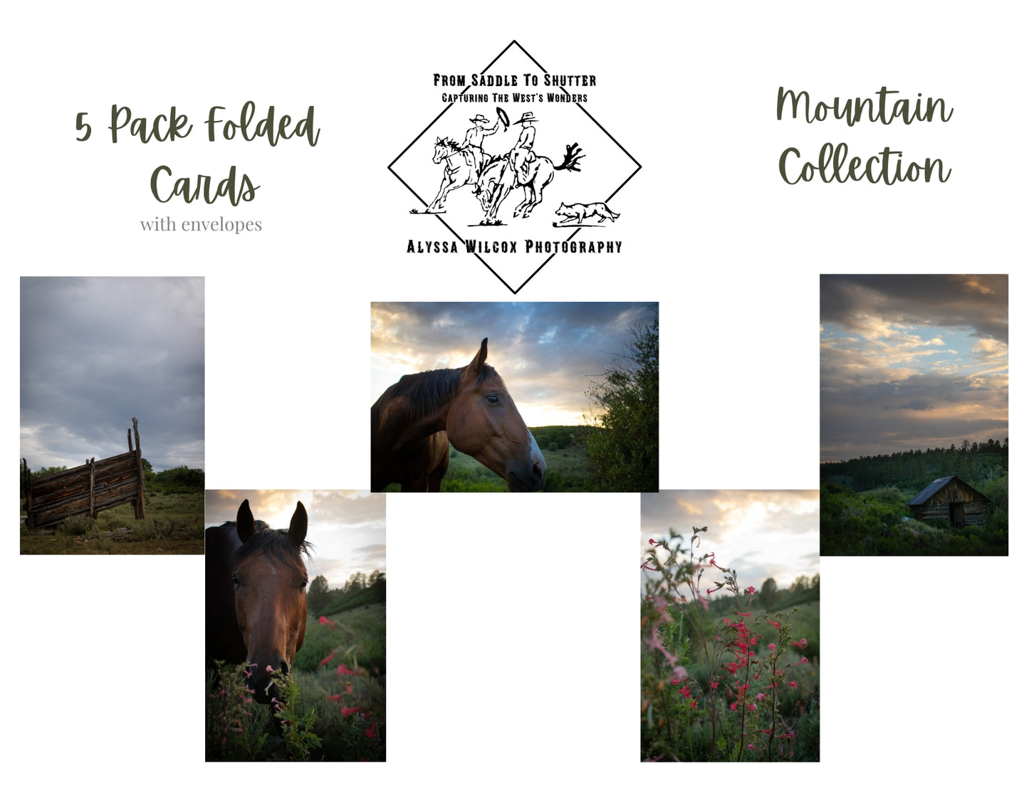 "Mountain Collection" 5 Pack Folded Cards with Envelopes
