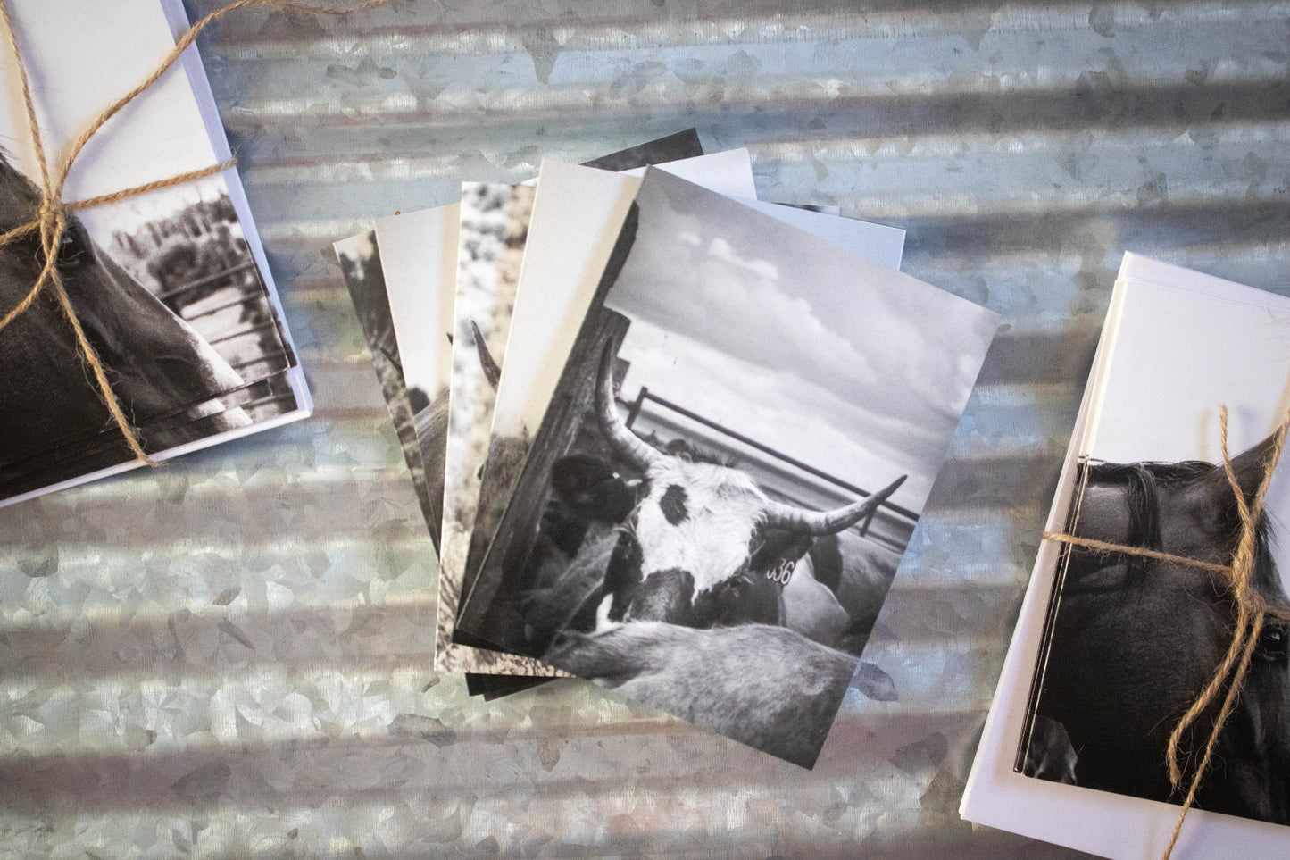 "Black & White Cow Collection" 5 Pack Folded Cards with Envelopes