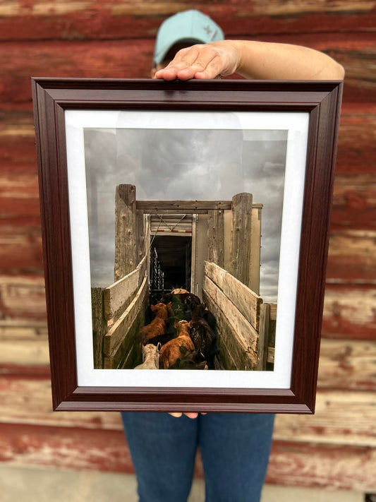 Spring Framed Print Drop - Limited Edition