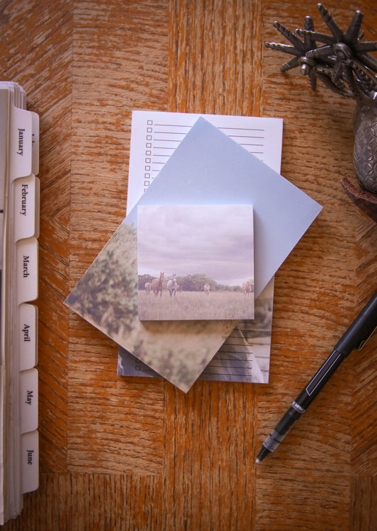 Western Horse Sticky Notes