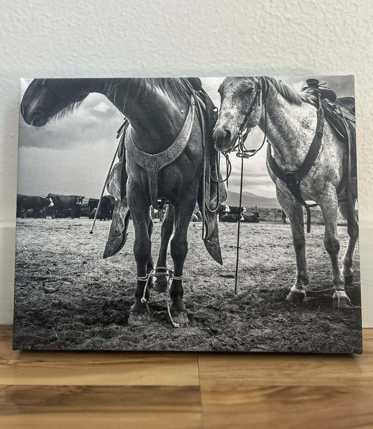 "Grounded" 8X10 Canvas