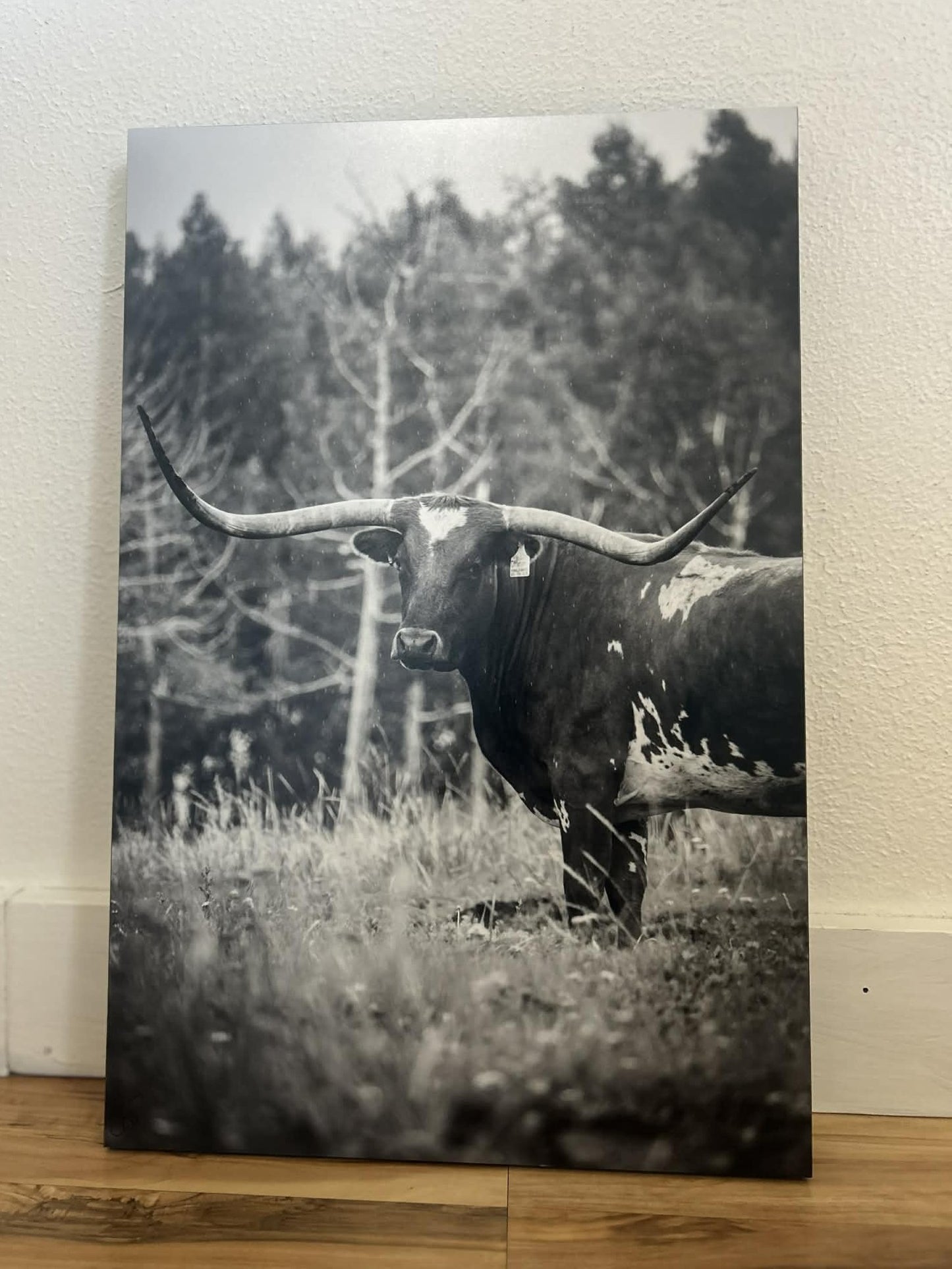 "Let 'er Lead" 8X12 Standout Print