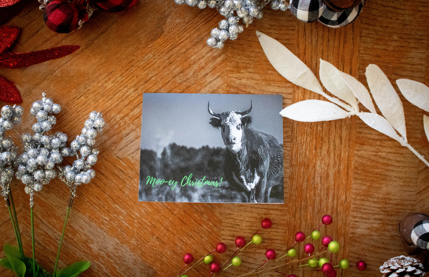 Western Mo-oey Christmas 5 Pack Card w/ Envelopes