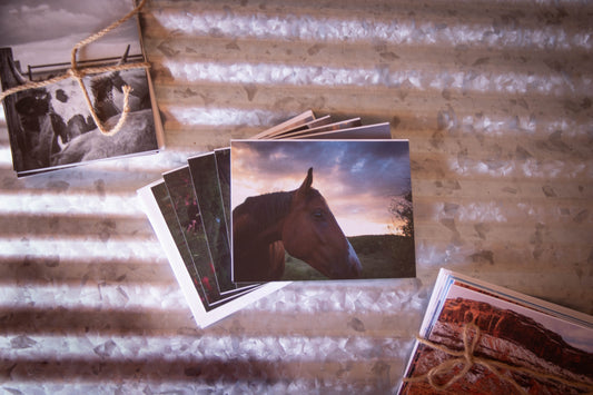 "Mountain Collection" 5 Pack Folded Cards with Envelopes